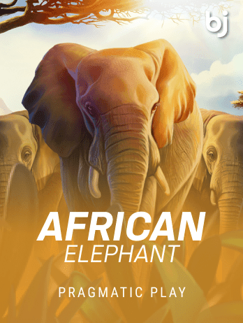 African Elephantpng screenshot